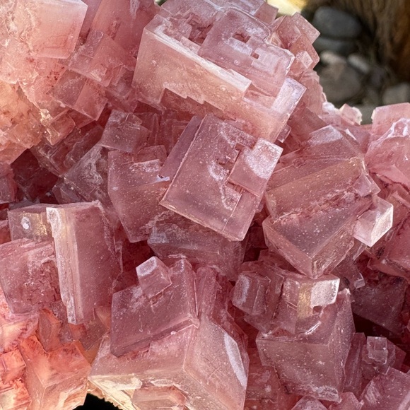 Pink Halite with excellent crystal cube structure - Picture 2 of 4